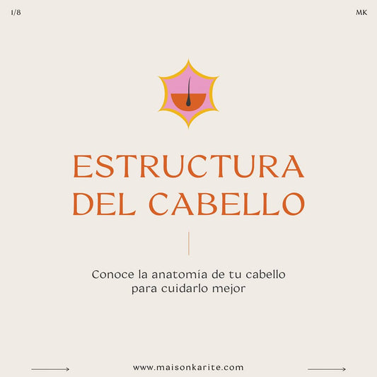 Estructura del Cabello #infolunes