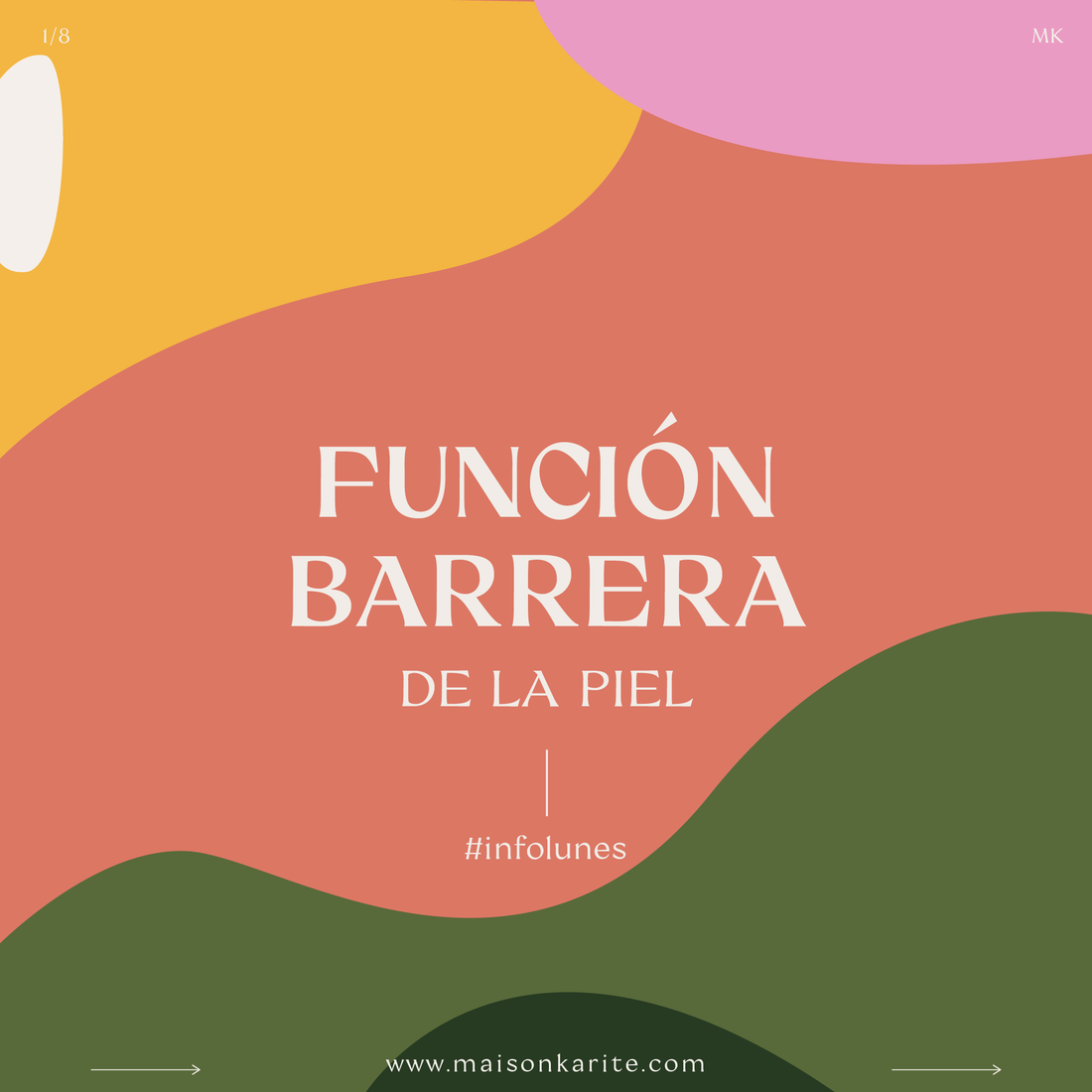 FUNCIÓN BARRERA DE LA PIEL