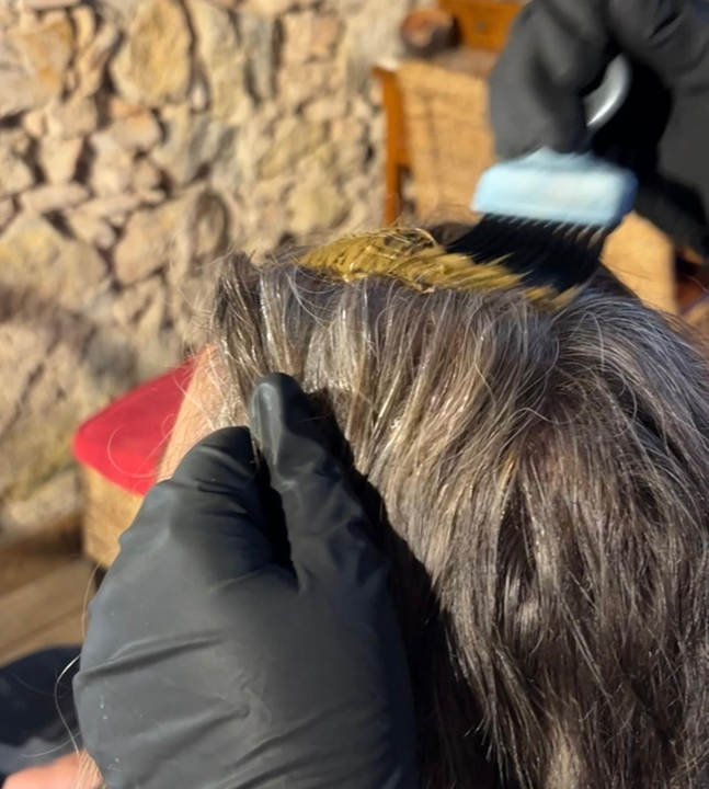 Asesoria Color Vegetal VideoLlamada